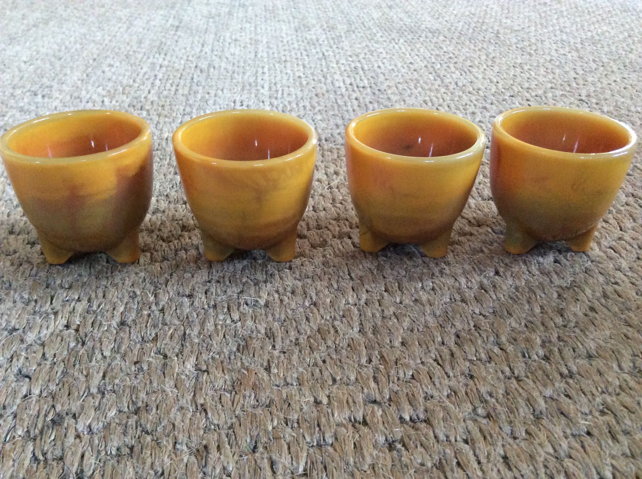Series of 4 cockroaches
