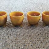 Series of 4 cockroaches