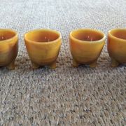 Series of 4 cockroaches