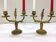 Pair of candelabra bronze rocaille