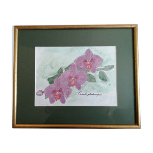 Aquarelle botanique orchidées