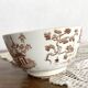 Polychrome ironstone teacup