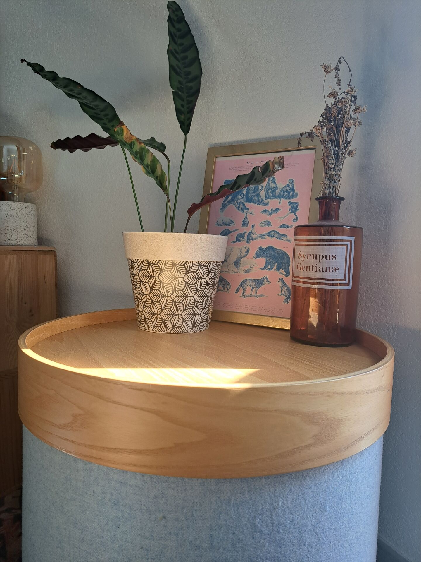 Drum Side Table Softline