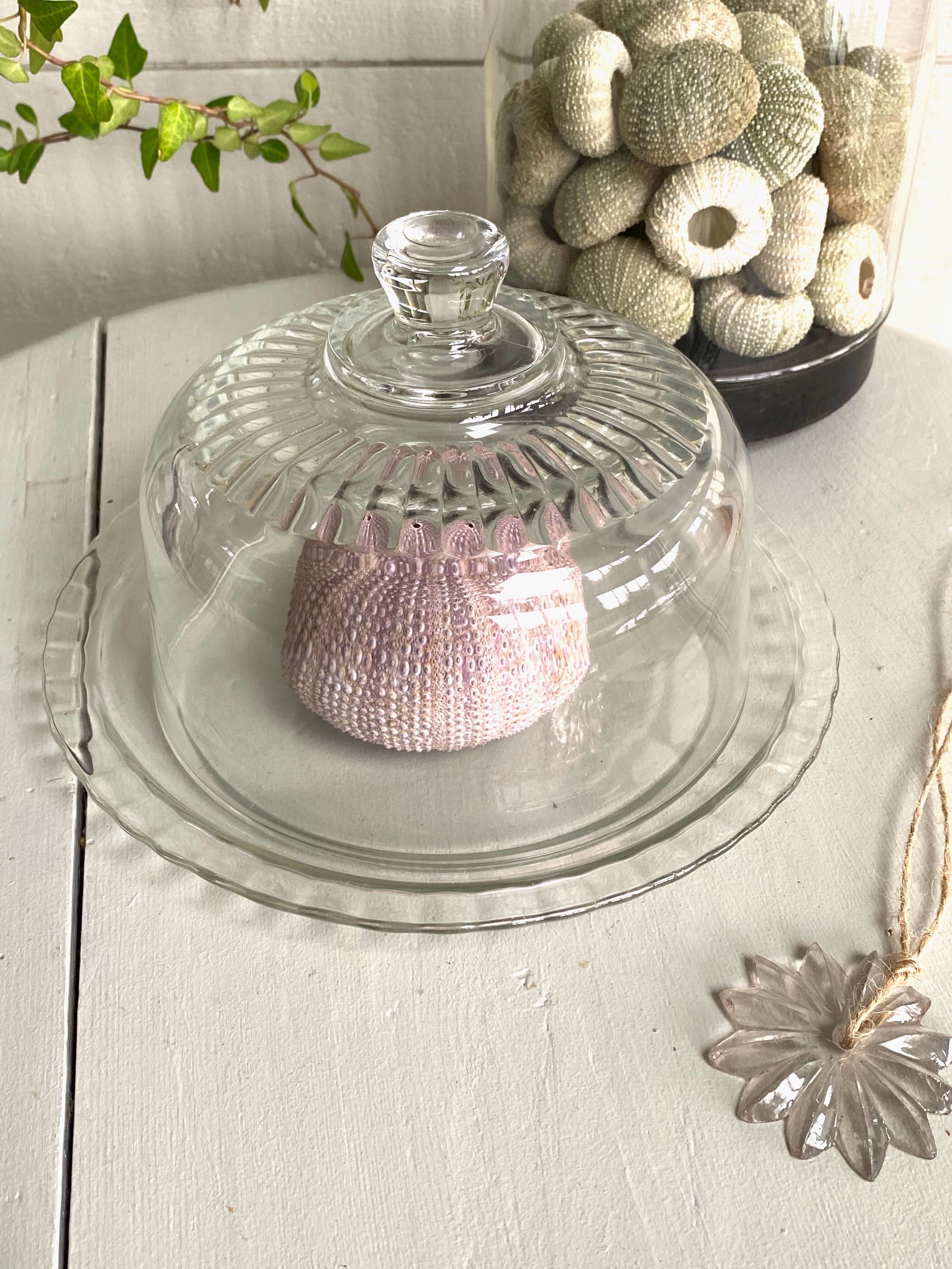 Glass bell with plate