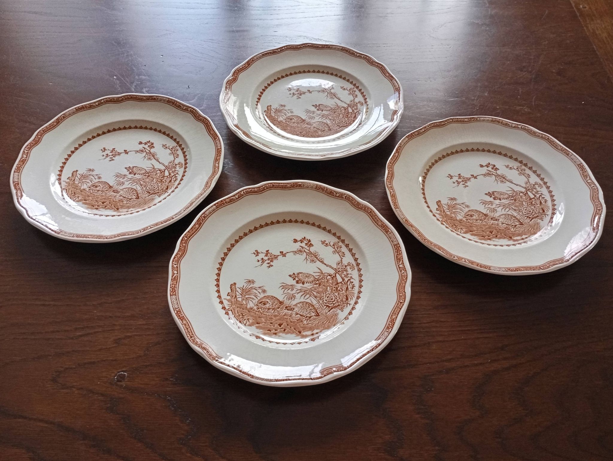 English flat plates Furnivals "Quail"