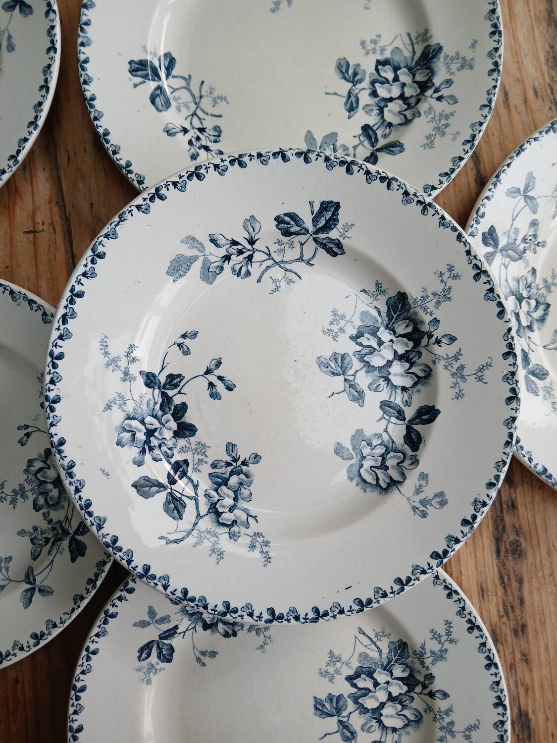 Set of 6 Terre de Fer plates, Acacia model