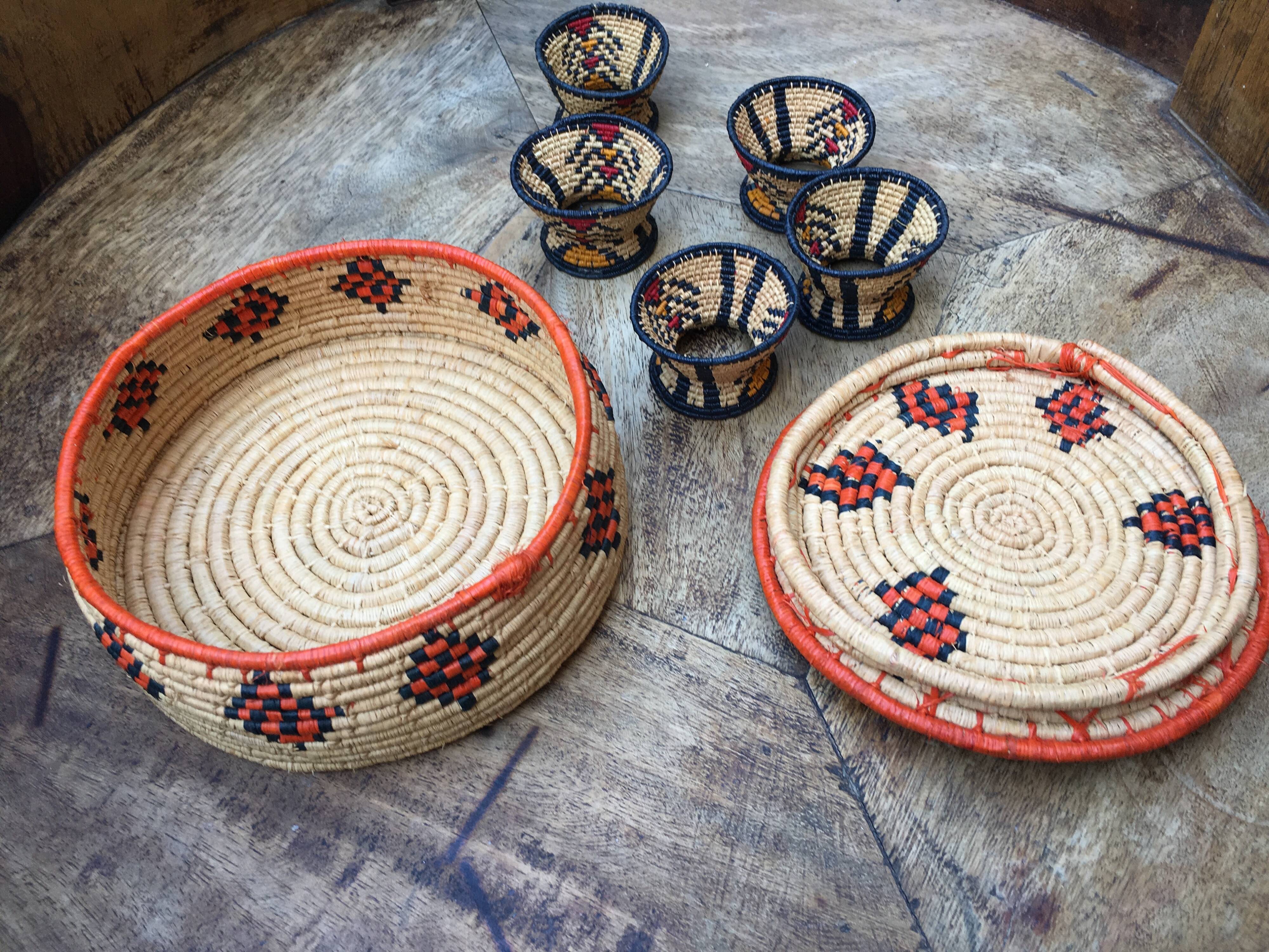African lidbox and raffia cockroaches