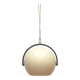 Mid-Century Swiss Space Age Plastic & Plywood Pendant Lamp from Temde, 1960s