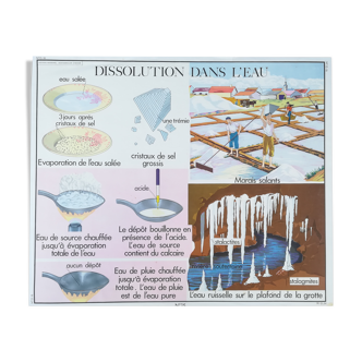 Educational poster nightingale the water "dissolution and change of state"