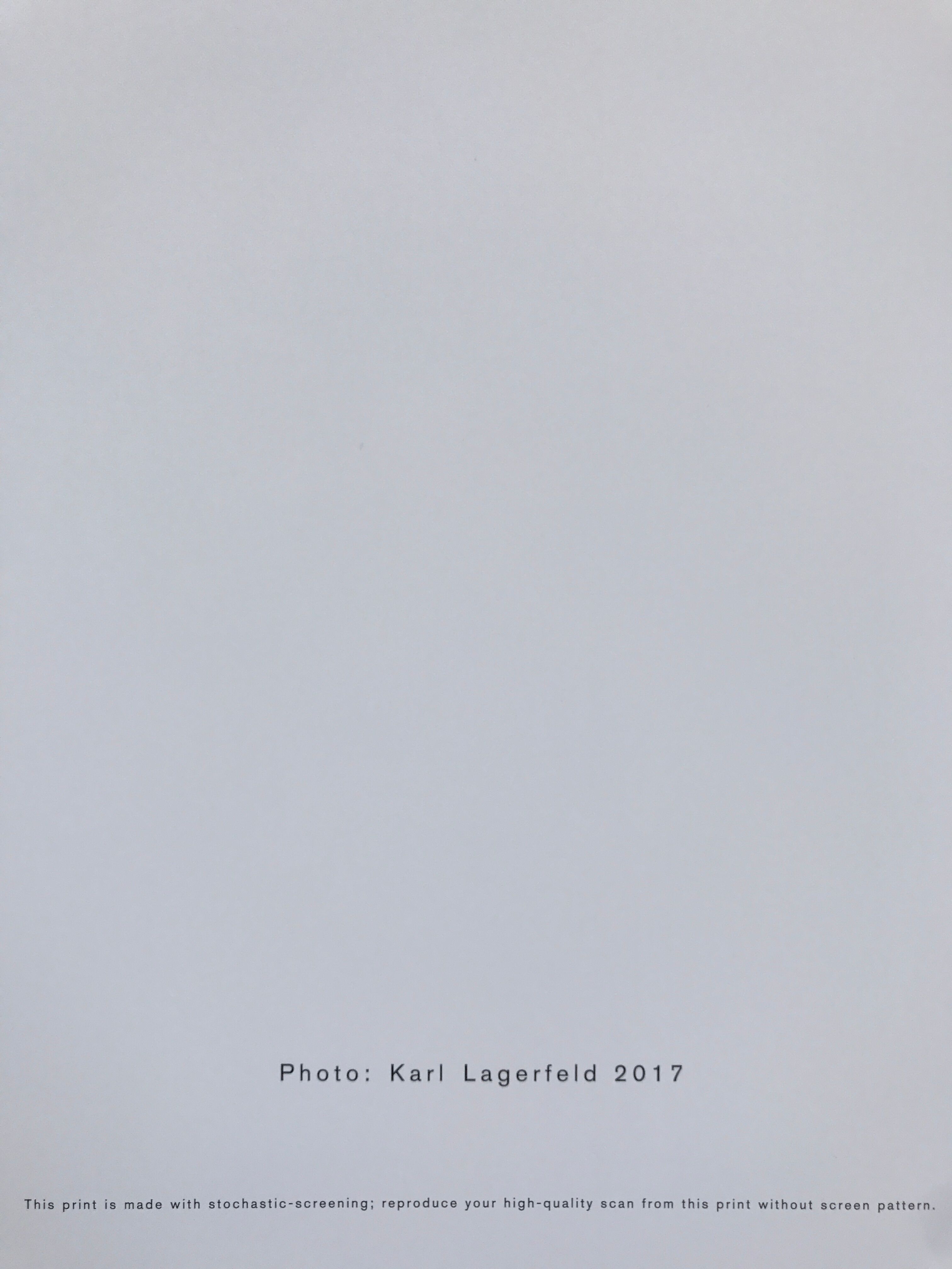 Karl Lagerfeld photo for Chanel, 2018 collection
