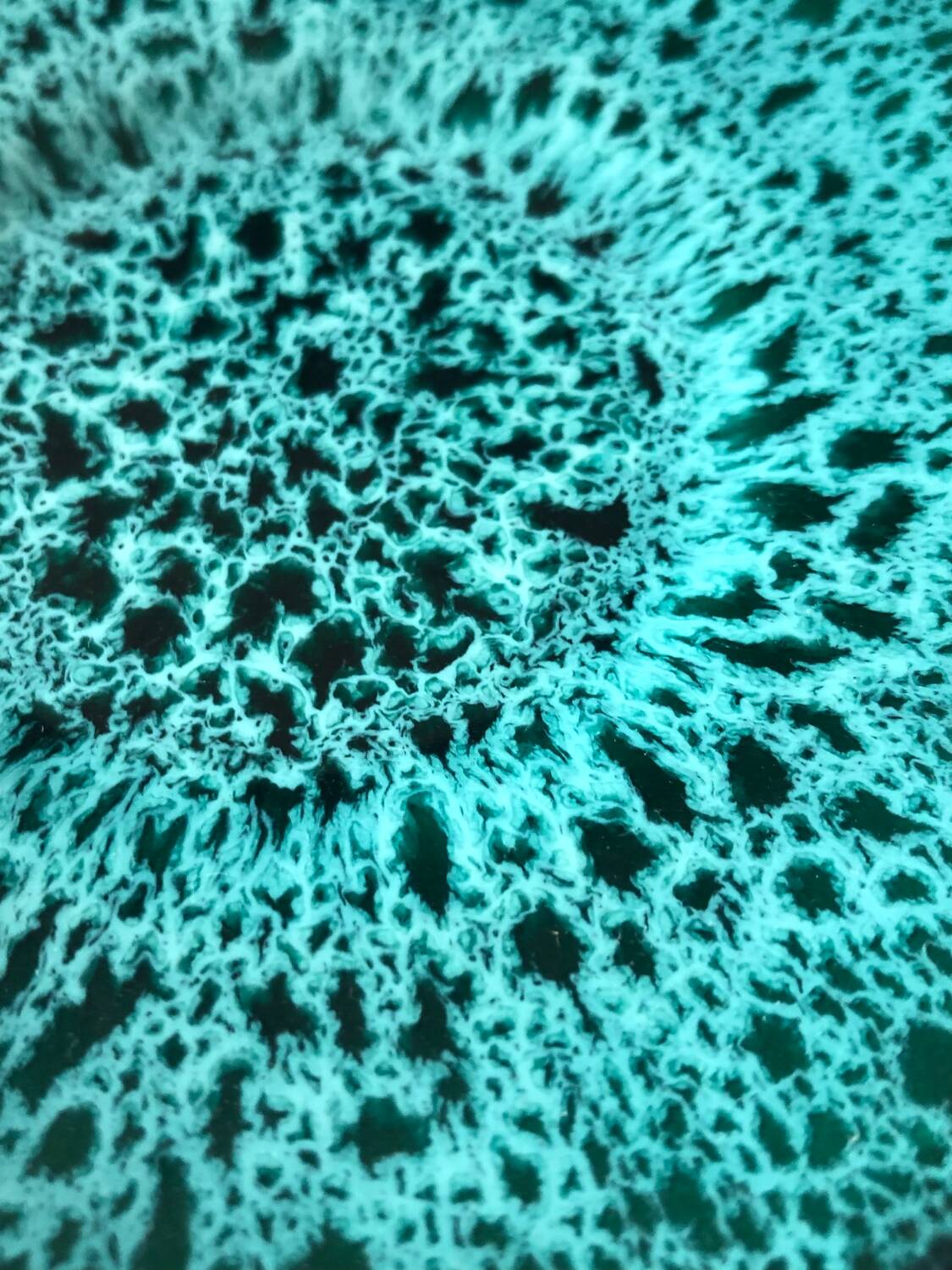 Tasse et soucoupe par Marius Giuge à Vallauris
