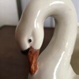 Ancient swan dabbling