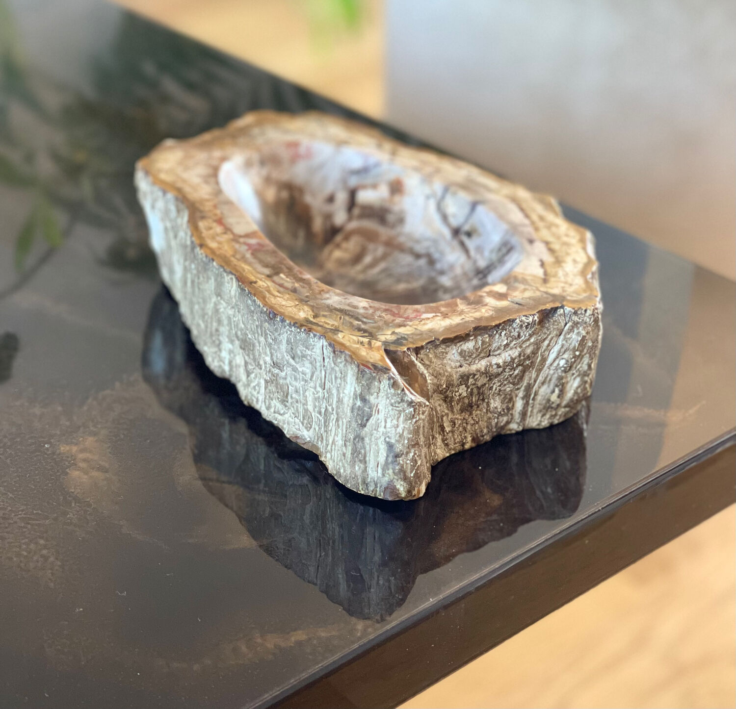 Petrified wood catchall
