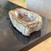 Petrified wood catchall