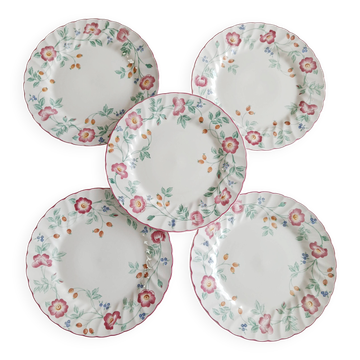 Lot de 5 assiettes plates Churchill, Briar rose