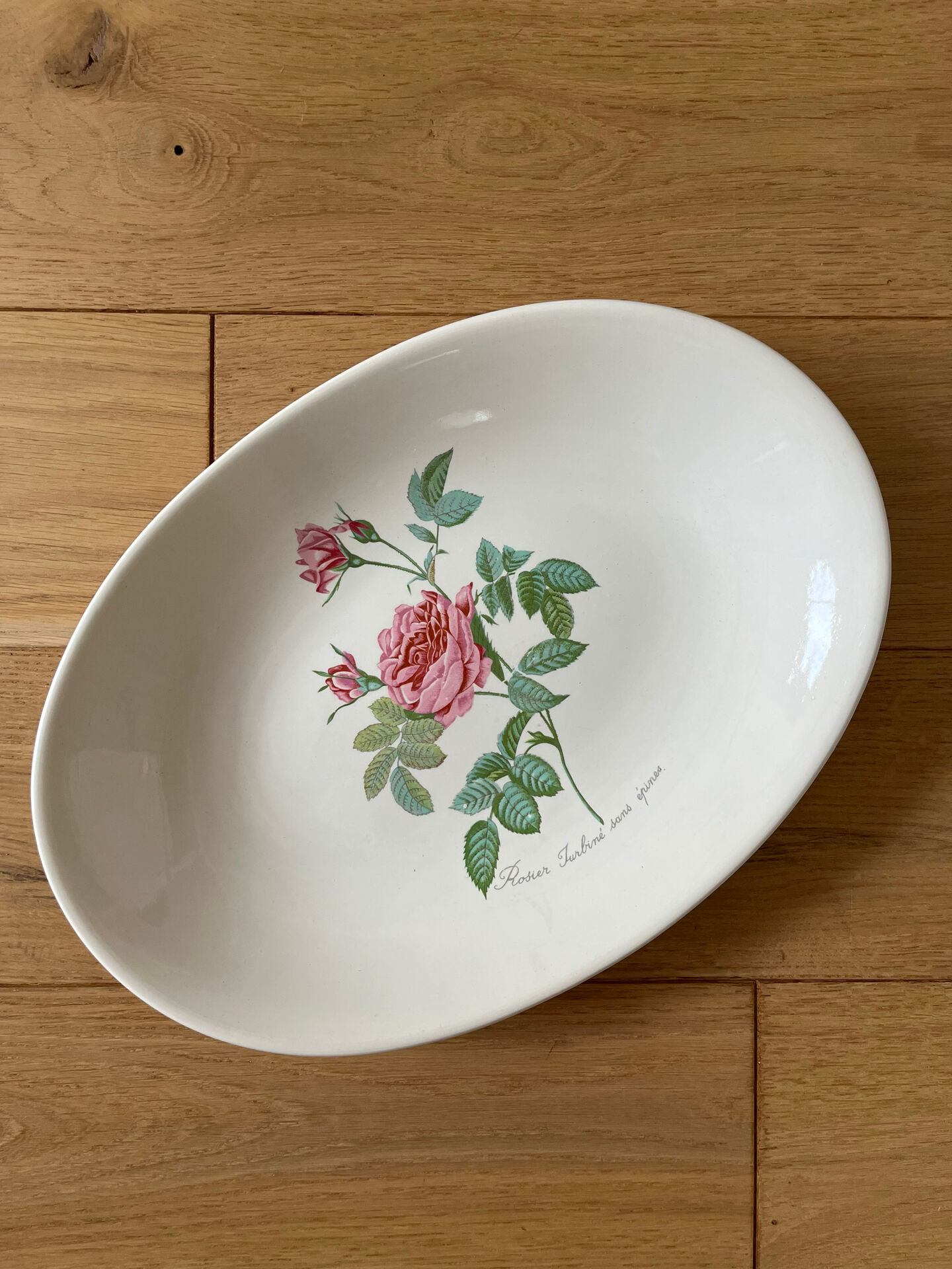 Plat faïence Salins - Rose de Redouté