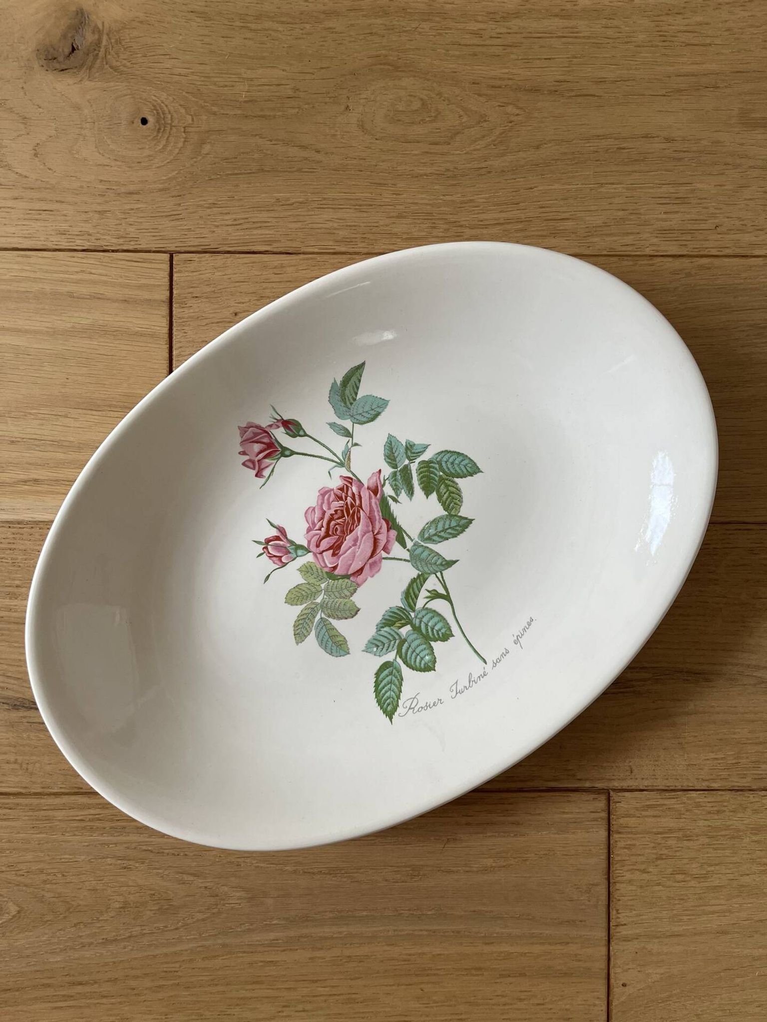 Plat faïence Salins - Rose de Redouté