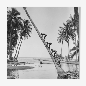 Photo child climbing a palm tree in Tahiti. year 50 40x60cm format