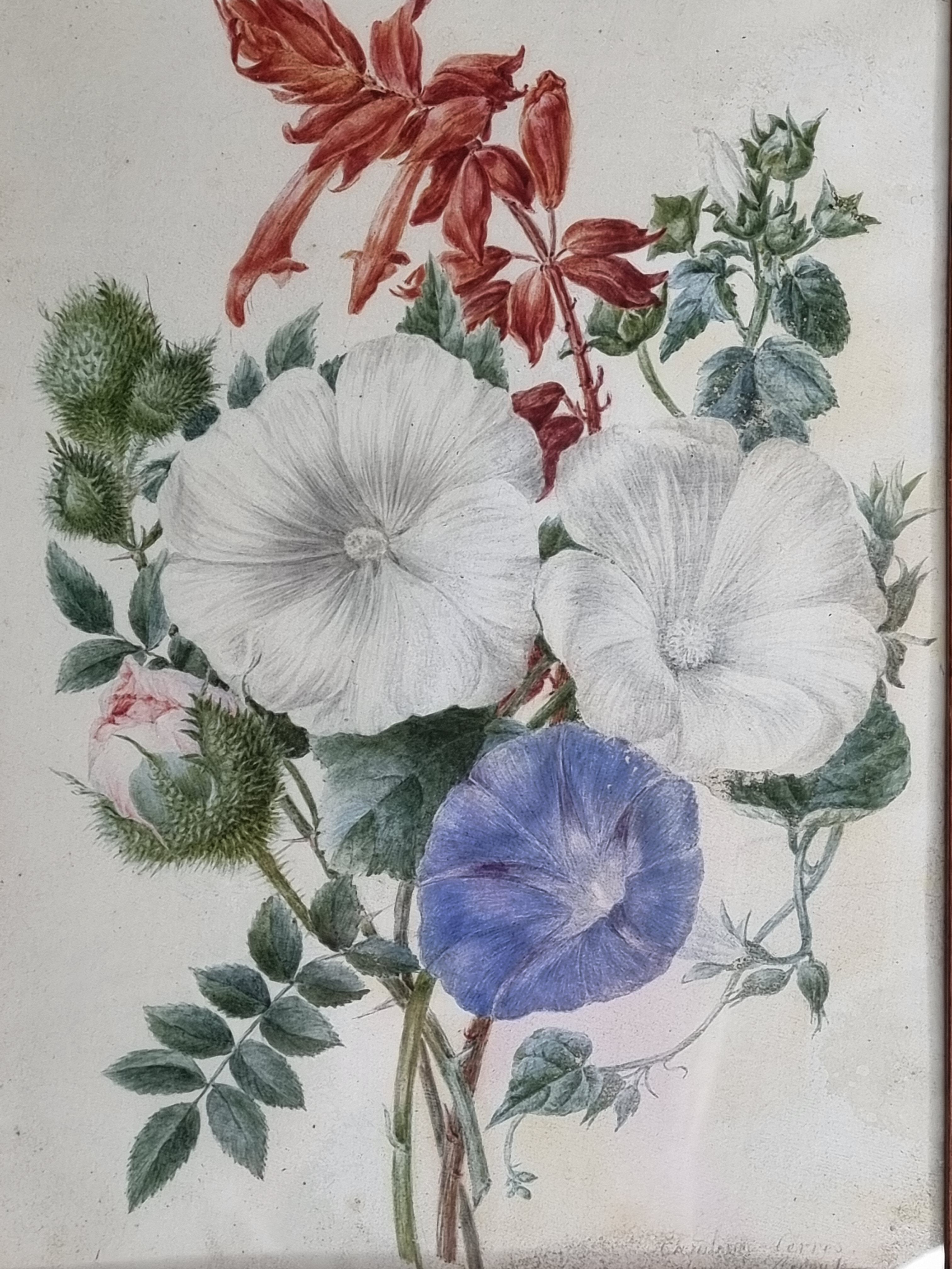 Cadre du début du XIXème siècle, bouquet de fleurs sauvages, signé, élève de Pierre-Joseph Redouté