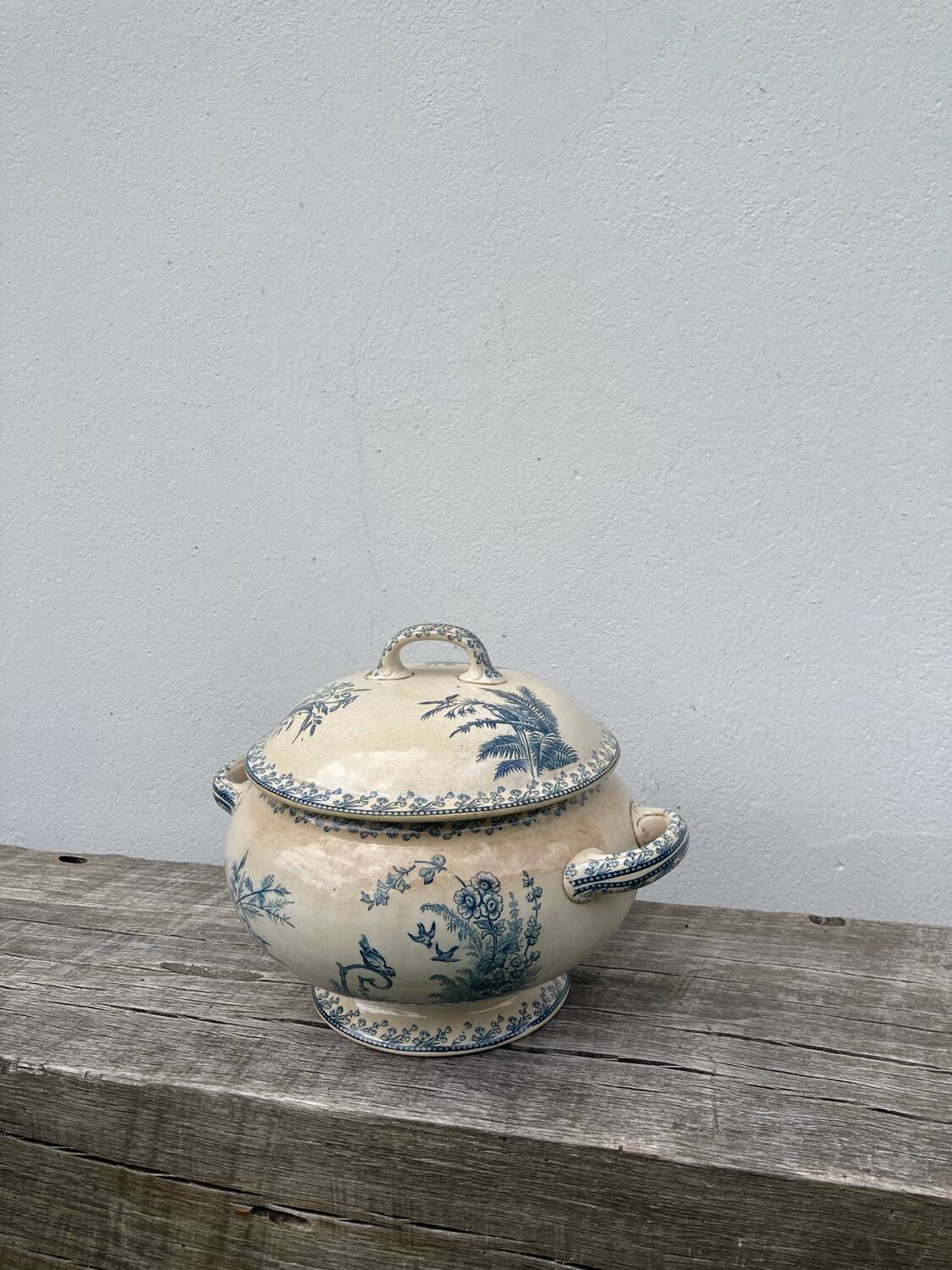 Earthenware tureen tureen Pexonne birds