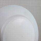 Six Arcopal soup plates