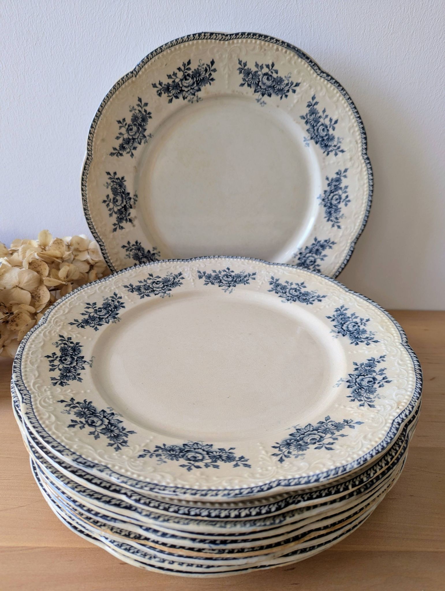 Lot of 10 old Badonviller Richelieu ironstone plates