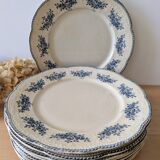 Lot of 10 old Badonviller Richelieu ironstone plates