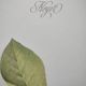 Botanical engraving -Walnut- Illustration of medicinal plants and herbs. Pastels by C. Michaut