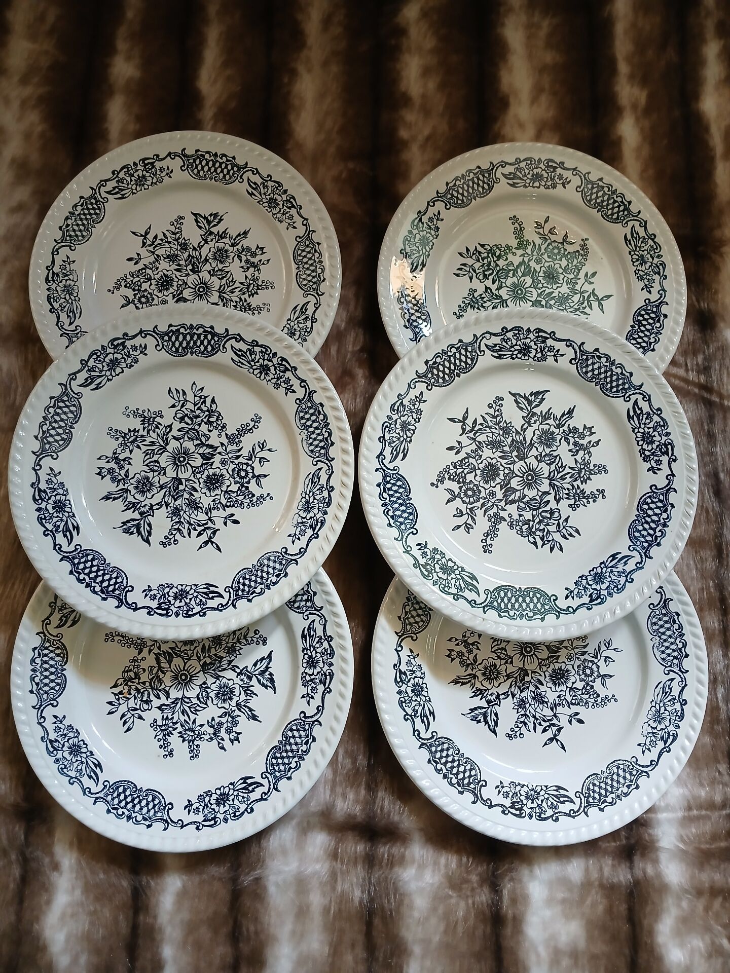 6 antique dinner plates