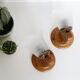 Duo of wooden appliques and tulip globe in scrambled glass, based on brass