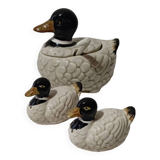 Duck salt and pepper shaker servant in barbotine 🦆