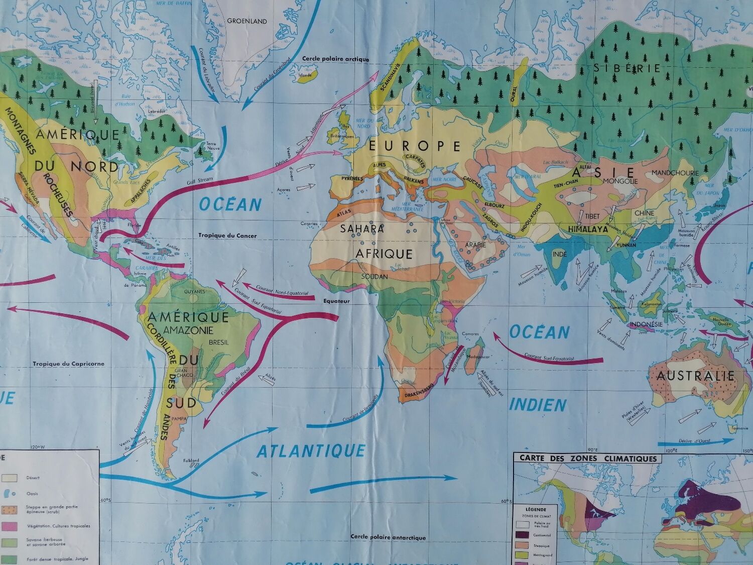 Planisphere world map vintage physics and vegetation