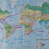 Planisphere world map vintage physics and vegetation