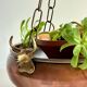 Cache-pot suspendu aux 3 buffles vintage