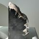 Black petrified wood bookend H17 L17 P6