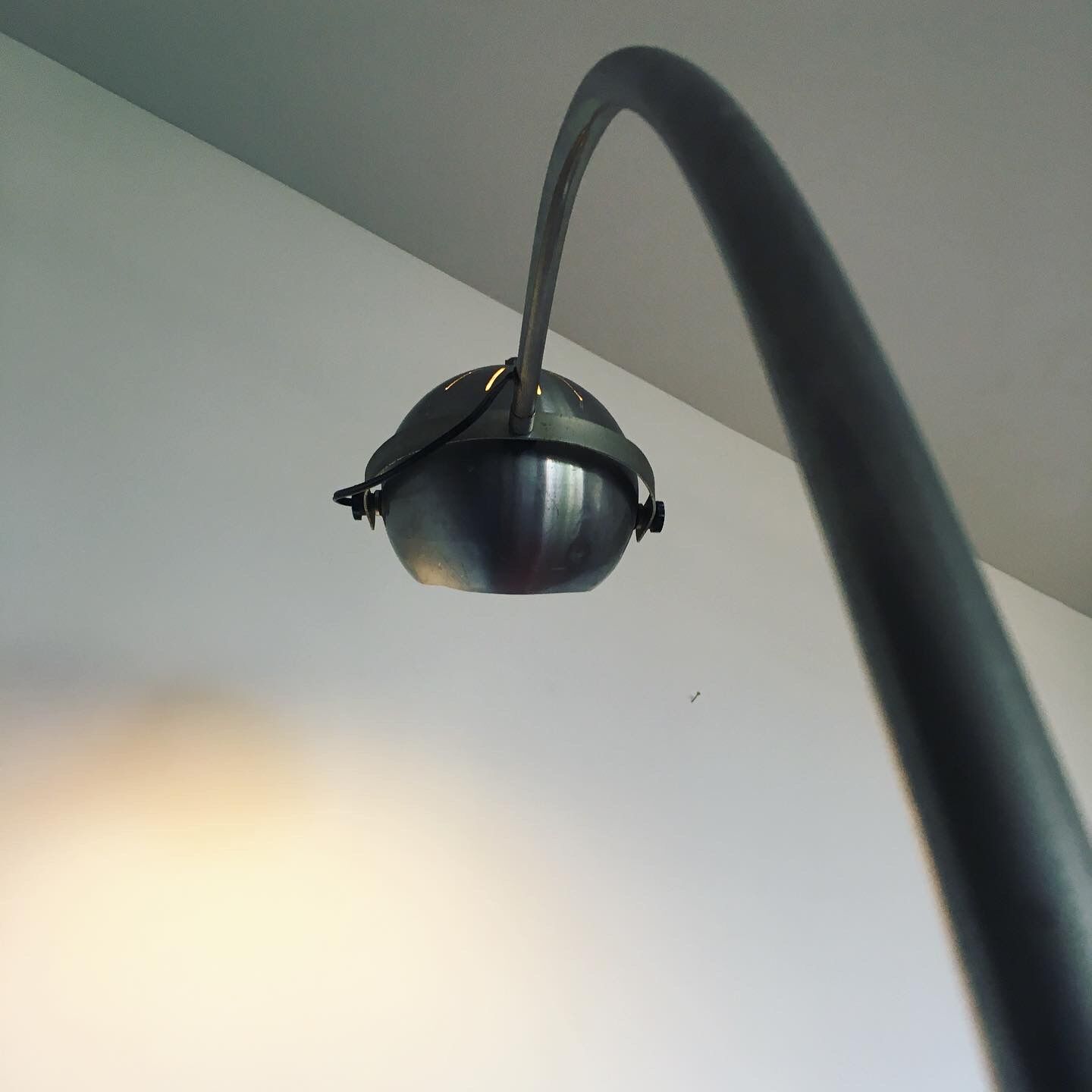 Adjustable steel eye ball floor lamp