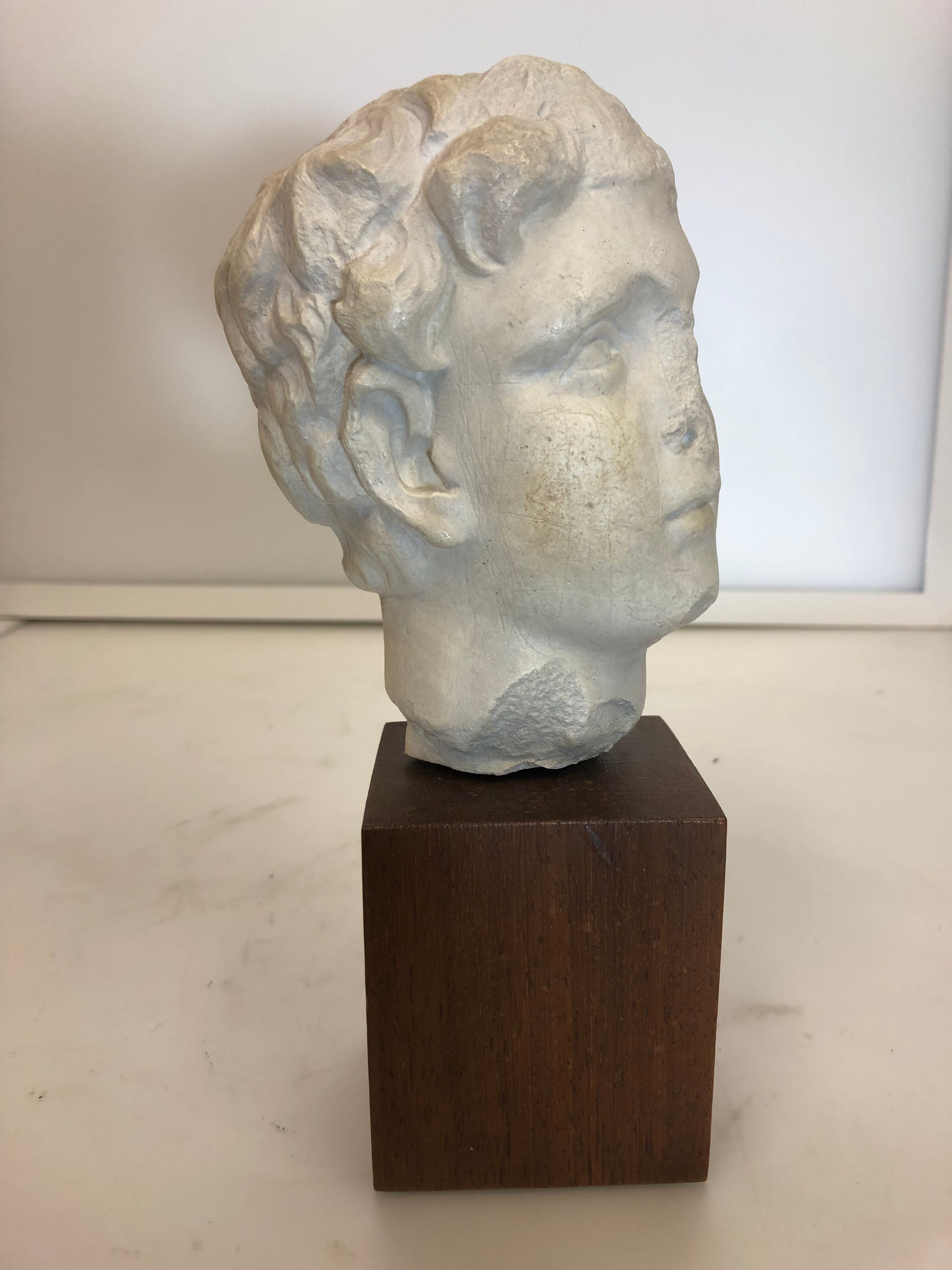 Statue bust roman man