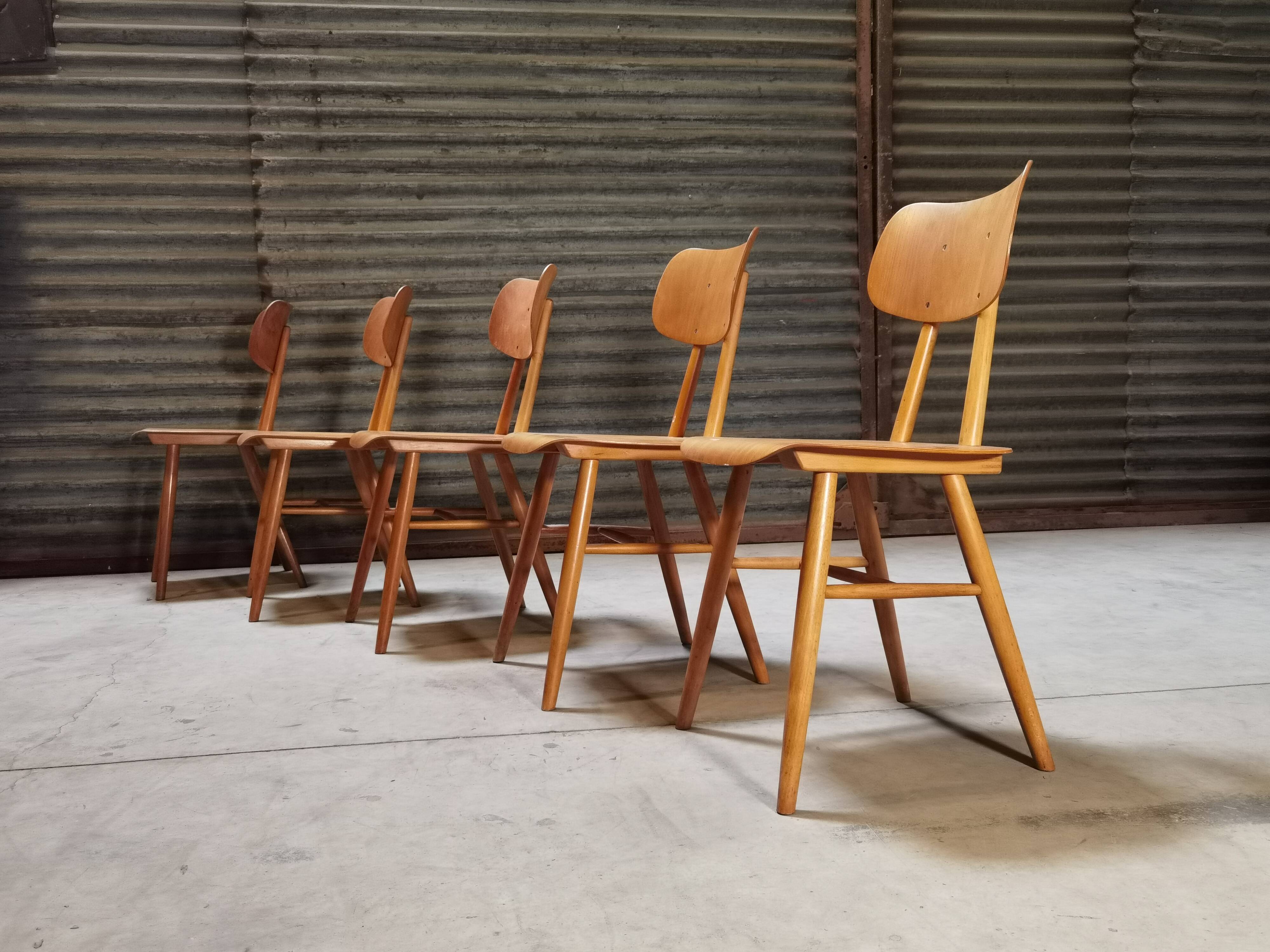 Set of 5 all-wood chairs published by Ton 1960