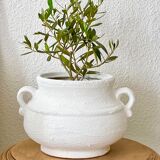 Pot jar cache