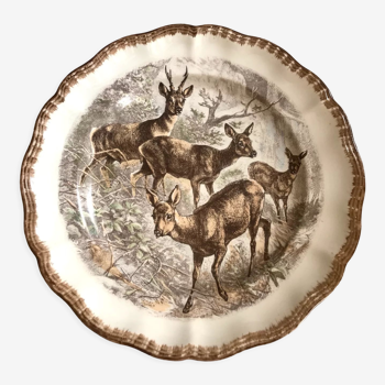 Doe collection plate