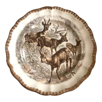 Doe collection plate