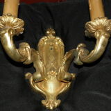 Graceful golden wall appliques