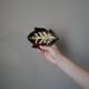 empty ceramic pocket craft handmade object decoration countryside slow japandi