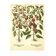 Old illustration 1959 - Pepper mills and fruits. Vintage botanical plate.