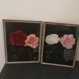 Executive duo Mr. Dubois