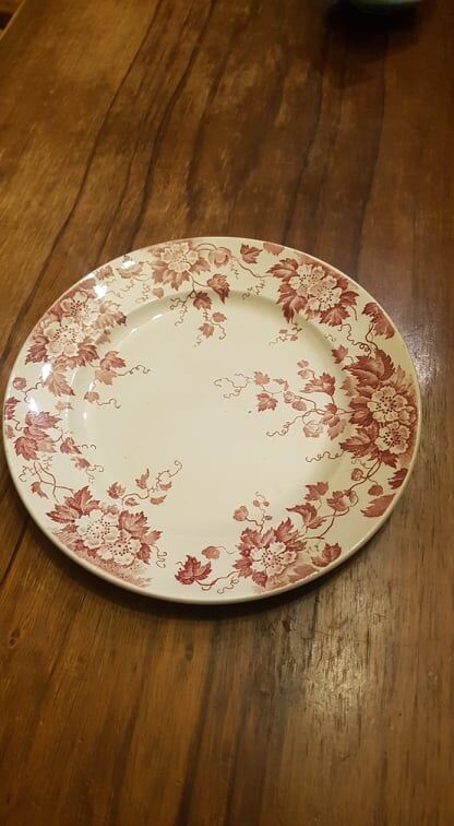 Plate in Iron Earth Saint Amand & Hamage