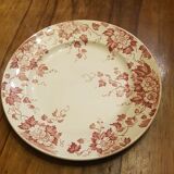 Plate in Iron Earth Saint Amand & Hamage