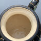 Pair of vases Vallauris decoration hand 561 signed