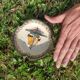 Marine ashtray