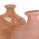 Pair of vase with decoration of fish
